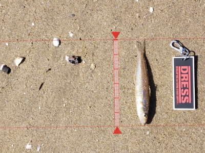 ルアーでキッス