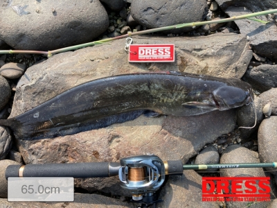 ルアーマチック鱗付け！