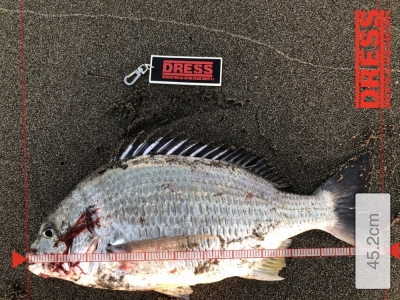 白里海岸で、、、