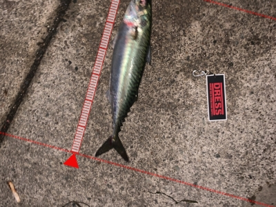 コスモスクエア