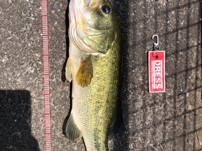 近所で