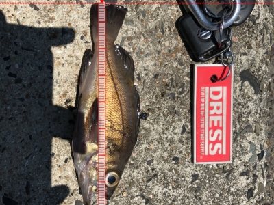 門司で初釣り３