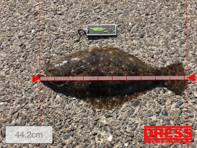 今日も〜