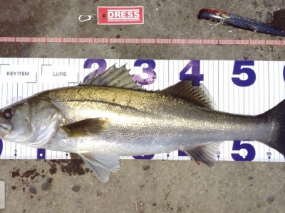 ちょっとイイー子