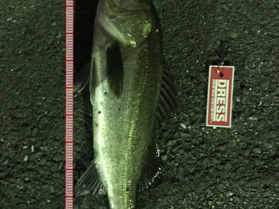 メバリングロッドで