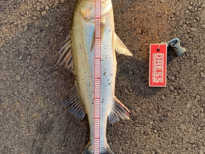 久しぶりの釣り