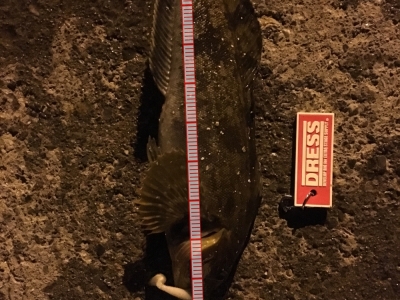 森漁港にて