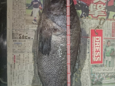 いただきます(･_･)