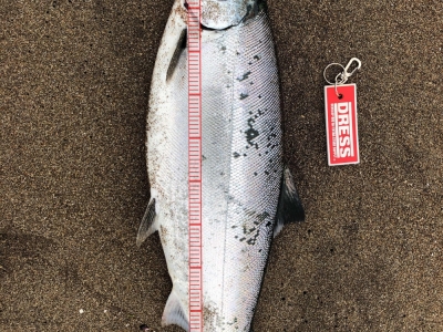ギリ3kg