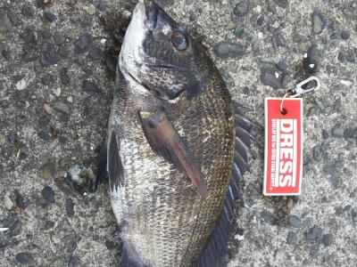 浜名湖網干場