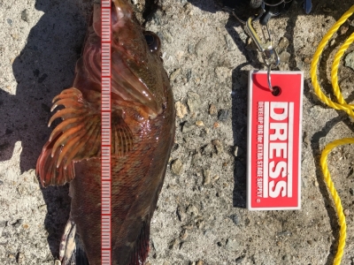 穴釣りで爆釣