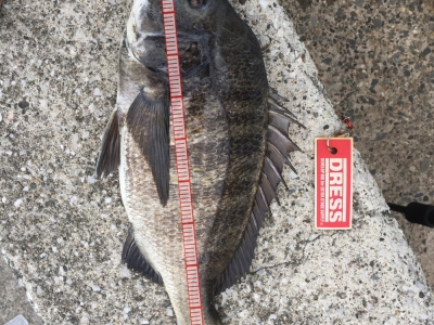 ヘチ釣り