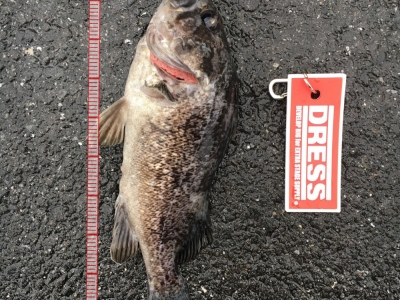 サイズの割に引いた