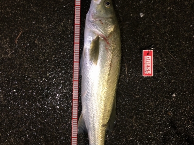 ナレージ65最高！