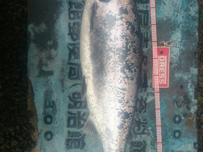熊石町サーフ