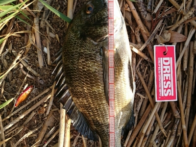 なんとか１枚