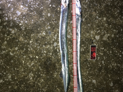 予想よりデカかった(･･;)