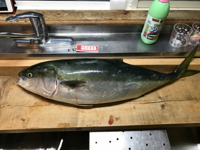 ジグ