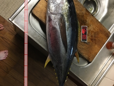 初キメジ