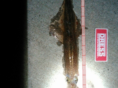 盃