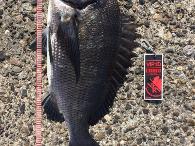 ヘチ釣り3