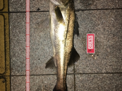 詰田川