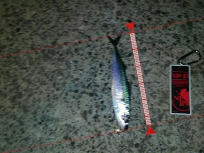 メバリングで、