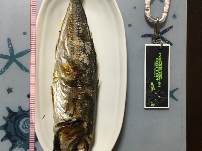 晩御飯