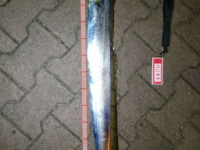 俺太刀