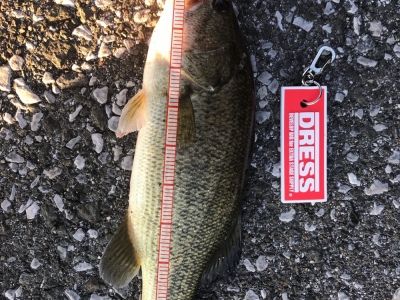 久しぶりのバス