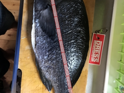 最高記録