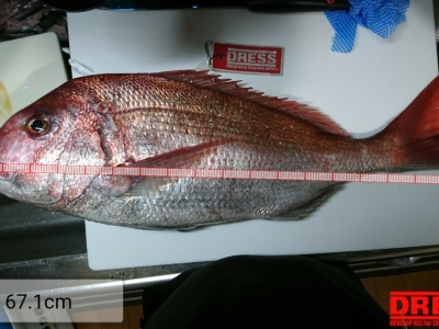 紀伊長島 タイラバ