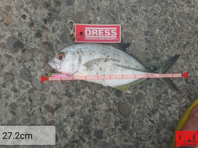 27.2cm の メッキ