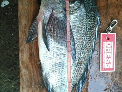 初釣り