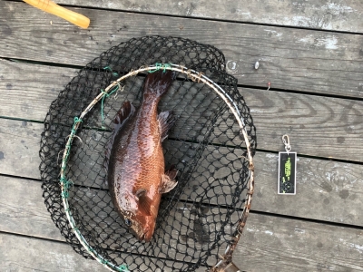 First try