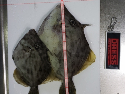 波止でゲット‼️