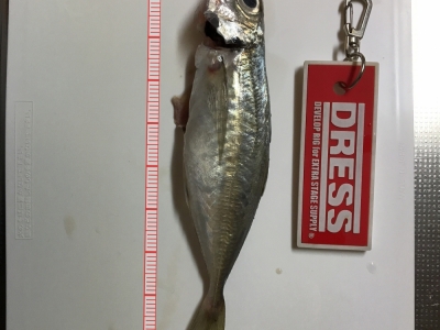 糸魚川