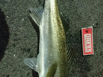 小さいけど元気
