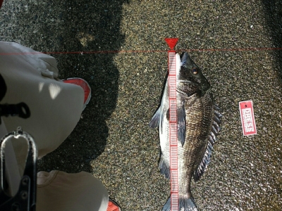 落とし込み
