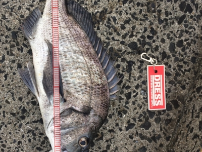 初釣り