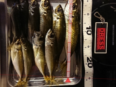 釣り納め