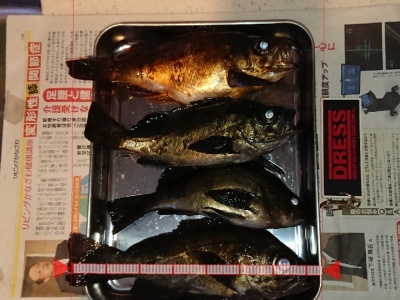 釣り納め その２