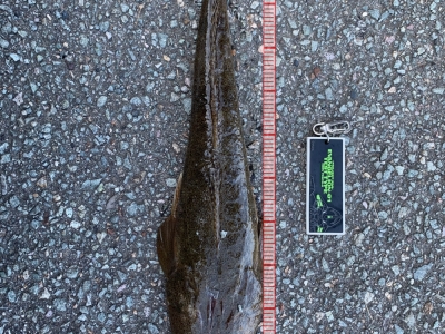 どうにか仕事前に