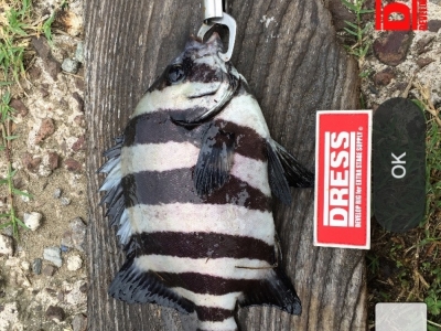 カニング！まさか川でくるとは‼︎