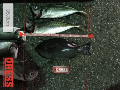 フカセ釣り