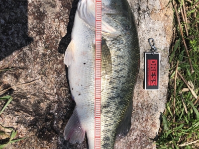 59.2cm！ in 琵琶湖
