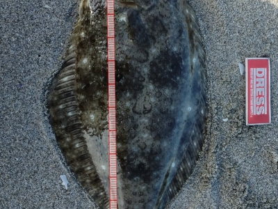 仙台サーフ北側