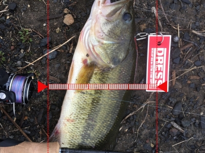 シャッドで釣れた！