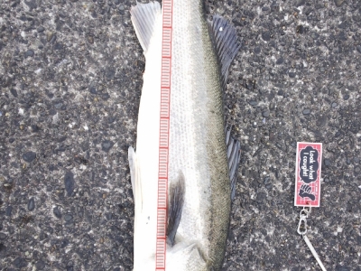 ジャークで喰った！