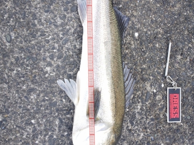 ナイスファイトでした！